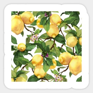 Watercolor Lemon Sticker